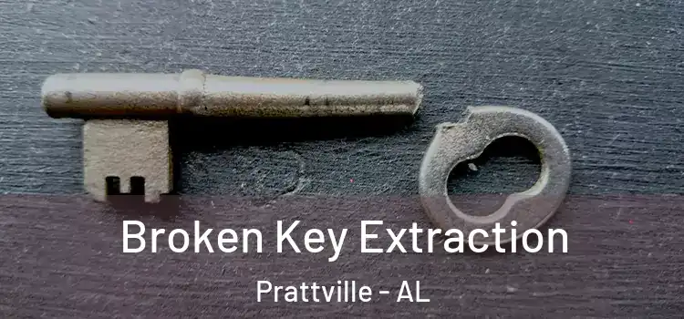 Broken Key Extraction Prattville - AL