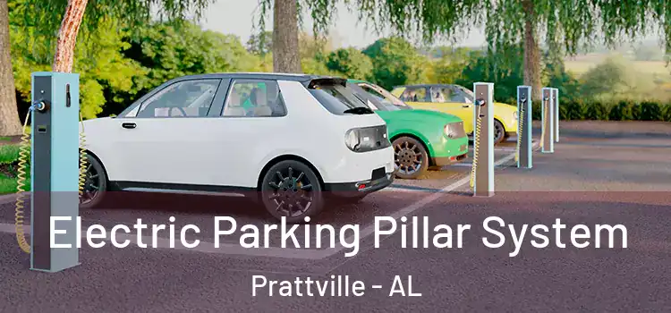 Electric Parking Pillar System Prattville - AL