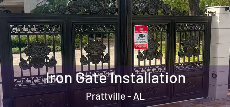 Iron Gate Installation Prattville - AL